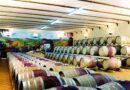 DA FIABA A VINO: IL CONTE VILLA PRANDONE PRESENTA “BELVA DI TERRA”