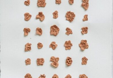ALFABETI DI TERRA DI GERMANO SARTELLI