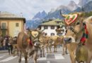 LA SFILATA DELLE MUCCHE LA SFILATA DELLE MUCCHE