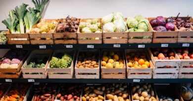 A Terra Madre la biodiversità si assaggia a occhi chiusi A Terra Madre la biodiversità si assaggia a occhi chiusi