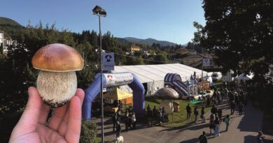 Funghi – l’annata che l’Alta Val Taro e Val Ceno aspettava da tempo Funghi – l’annata che l’Alta Val Taro e Val Ceno aspettava da tempo