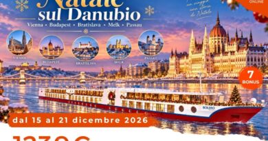 NATALE SUL DANUBIO CON EMOZIONITALIA NATALE SUL DANUBIO CON EMOZIONITALIA
