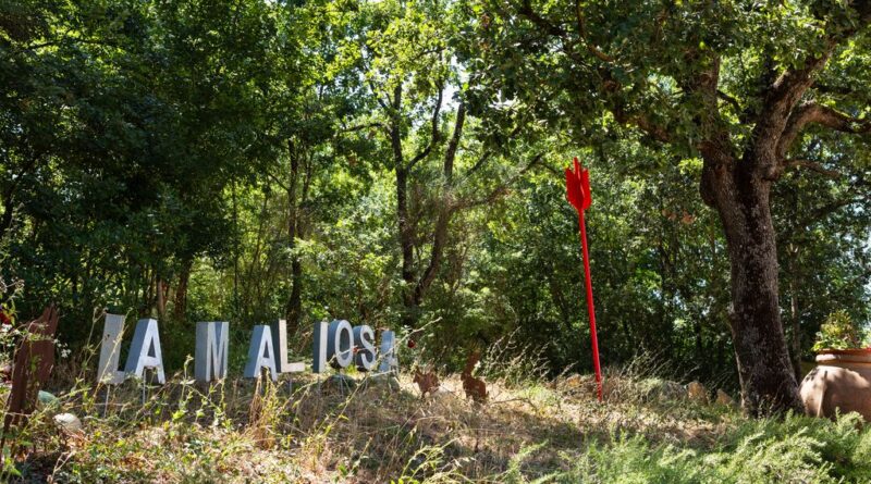 FATTORIA LA MALIOSA OSPITA SAVING EVERY DROP IN WINE