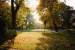 English Park