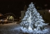 Welcome Winter_albero e luminarie_20201205_ph Giacomo Buzio_05
